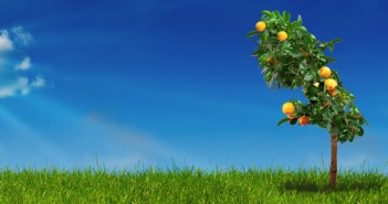 Les voeux de Contact-Entreprises : un choc de confiance !
