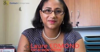 DIADEM accompagne les entreprises martiniquaises et les aide à se développer.