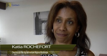 Déjeuner-débat : Katia ROCHEFORT et Thierry LAUZEA nous disent tout sur le PARM…