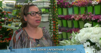 Libre éco vous présentent le nouveau look de la Galerie Lafontaine