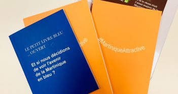 Assises des Outre-mer : les contributions de Contact-Entreprises