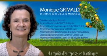 Focus sur la reprise d’entreprises avec la DIECCTE Martinique
