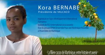 Le cacao, une chance pour la Martinique !