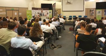 Bientôt une Cité du Rhum en Martinique ?