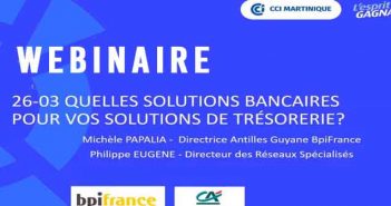 Webinaire CCI Martinique : Quelles solutions bancaires pour mon besoin de trésorerie ?