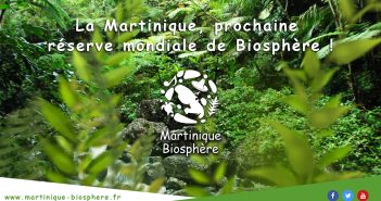 La Martinique, prochaine réserve mondiale de Biosphère !