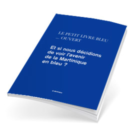 Téléchargez le livre bleu
