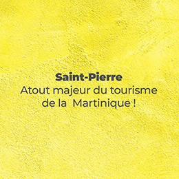 Téléchargez le livre jaune 